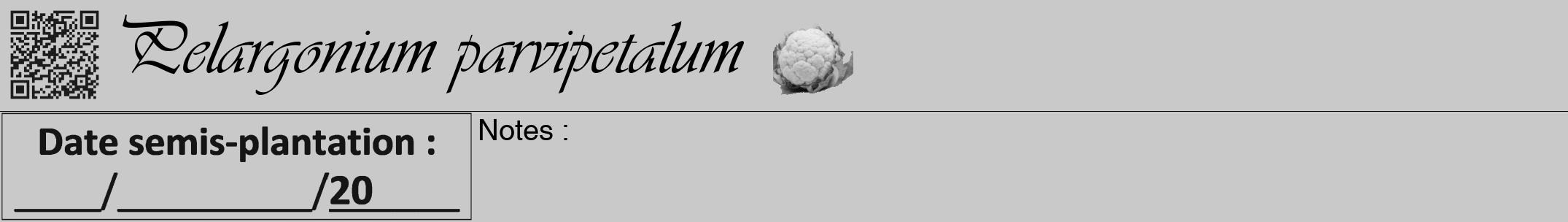 Étiquette de : Pelargonium parvipetalum - format a - style noire54viv avec qrcode et comestibilité simplifiée