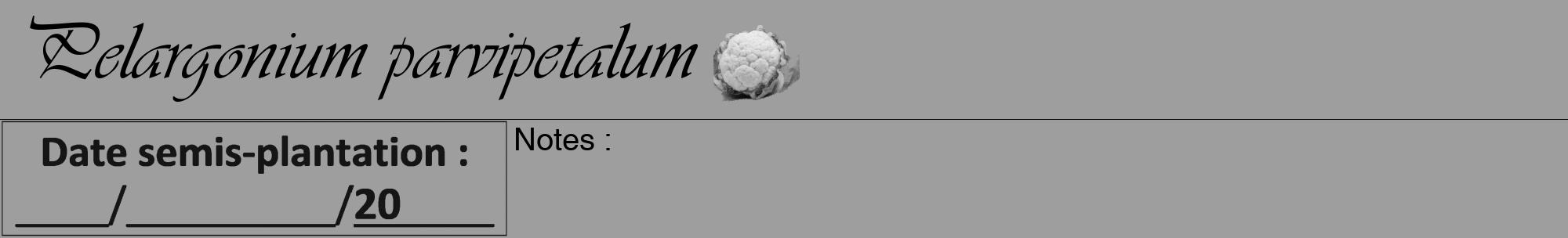 Étiquette de : Pelargonium parvipetalum - format a - style noire23viv avec comestibilité simplifiée