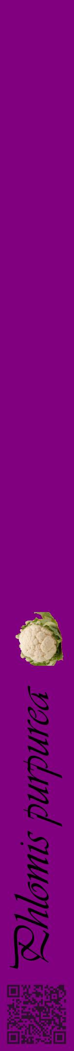 Étiquette de : Phlomis purpurea - format a - style noire46viv avec qrcode et comestibilité simplifiée
