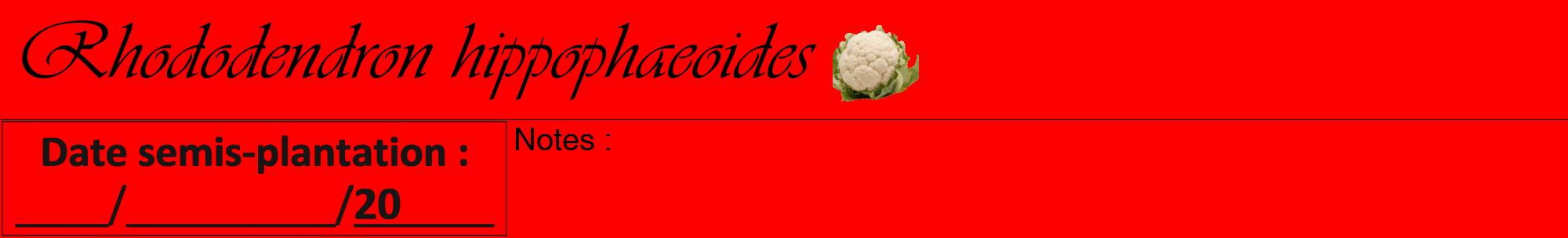 Étiquette de : Rhododendron hippophaeoides - format a - style noire27basiqueviv avec comestibilité simplifiée
