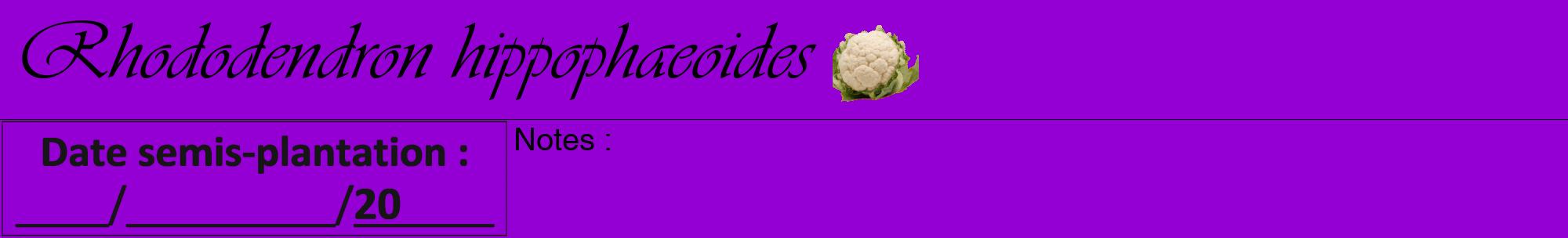 Étiquette de : Rhododendron hippophaeoides - format a - style noire48viv avec comestibilité simplifiée