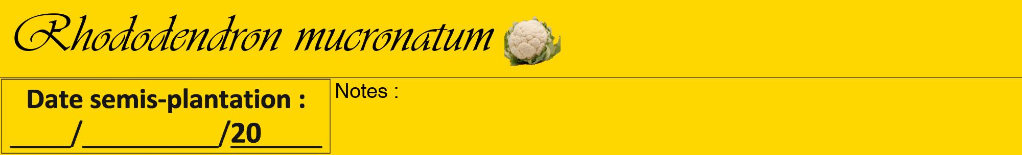 Étiquette de : Rhododendron mucronatum - format a - style noire21viv avec comestibilité simplifiée