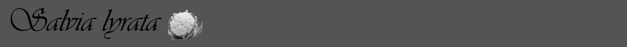 Étiquette de : Salvia lyrata - format a - style noire36viv avec comestibilité simplifiée