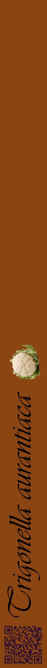 Étiquette de : Trigonella aurantiaca - format a - style noire30viv avec qrcode et comestibilité simplifiée