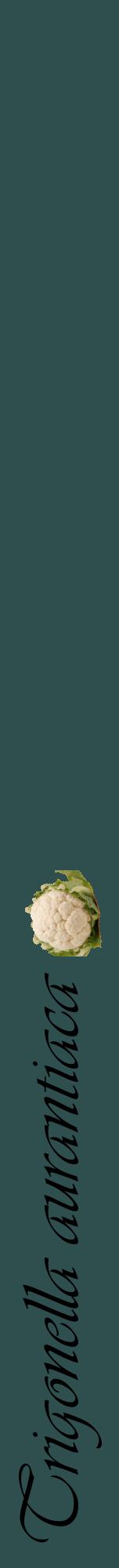 Étiquette de : Trigonella aurantiaca - format a - style noire58viv avec comestibilité simplifiée