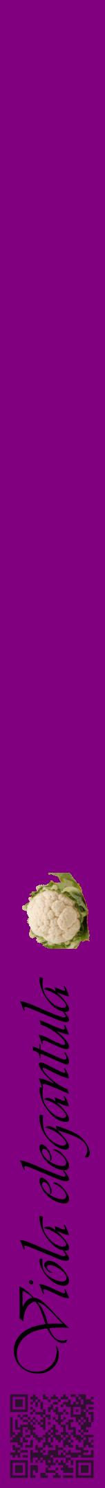 Étiquette de : Viola elegantula - format a - style noire46viv avec qrcode et comestibilité simplifiée