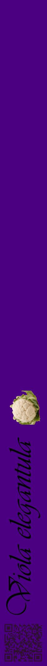 Étiquette de : Viola elegantula - format a - style noire47viv avec qrcode et comestibilité simplifiée