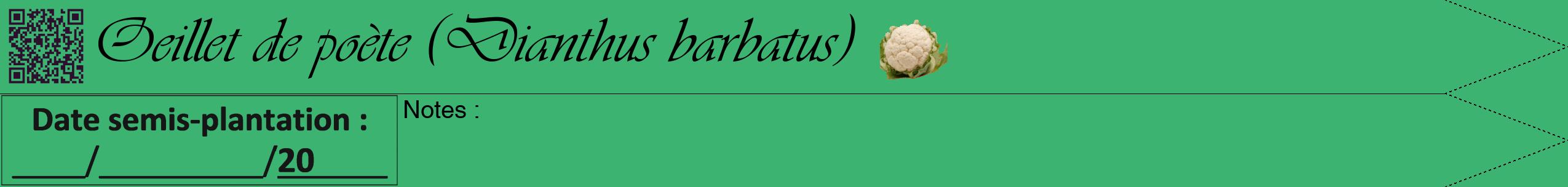 Étiquette de : Dianthus barbatus - format b - style noire12viv avec qrcode et comestibilité simplifiée