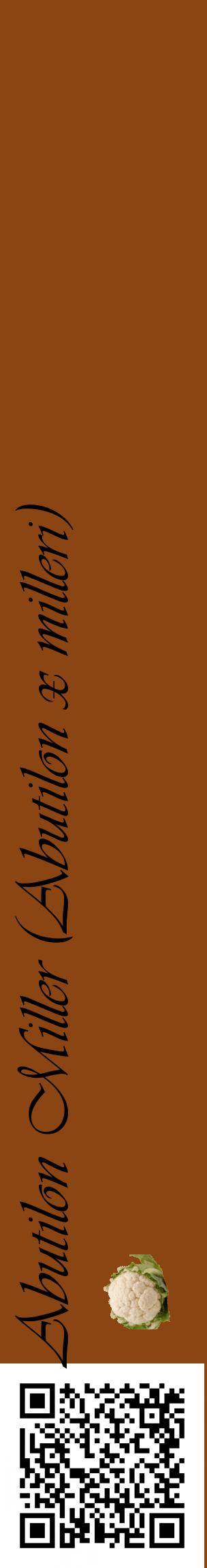 Étiquette de : Abutilon x milleri - format c - style noire30_basiqueviv avec qrcode et comestibilité simplifiée