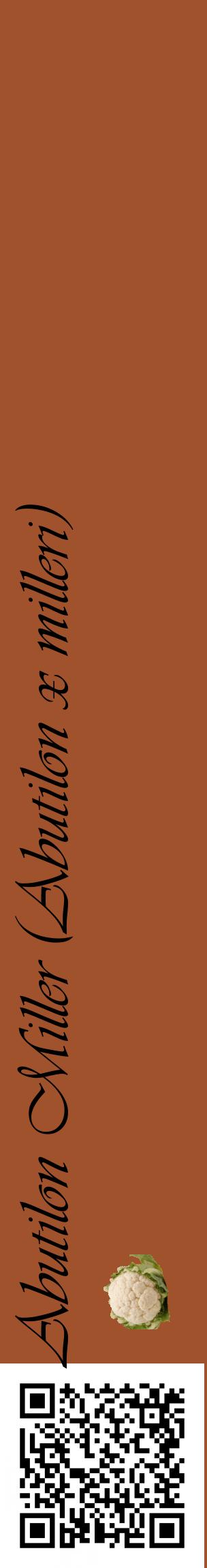 Étiquette de : Abutilon x milleri - format c - style noire32_basiqueviv avec qrcode et comestibilité simplifiée