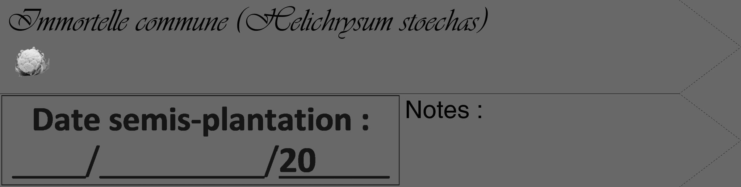Étiquette de : Helichrysum stoechas - format c - style noire43_simple_simpleviv avec comestibilité simplifiée