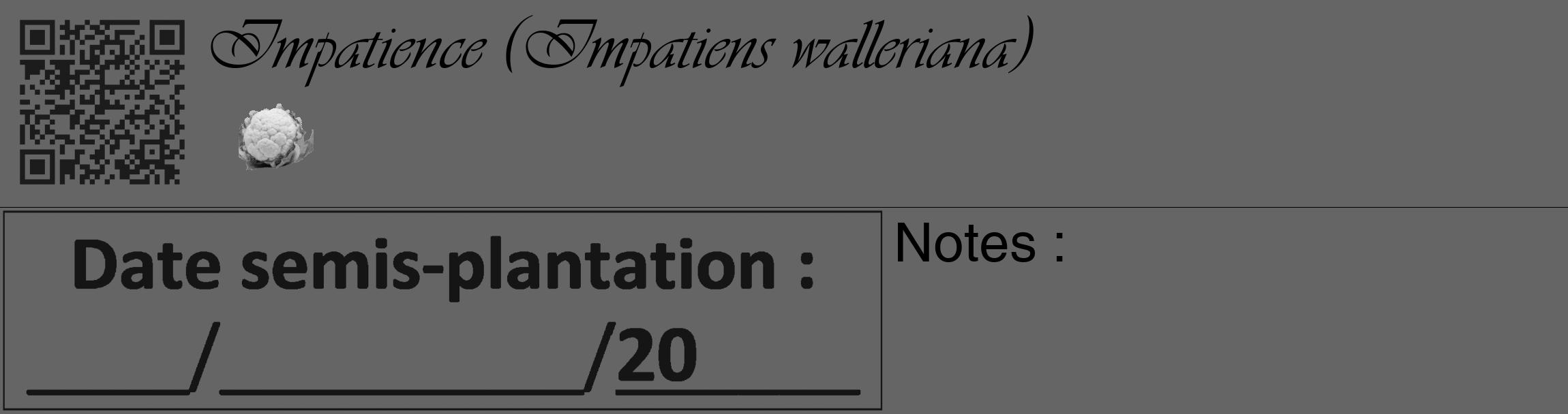 Étiquette de : Impatiens walleriana - format c - style noire32_basique_basiqueviv avec qrcode et comestibilité simplifiée