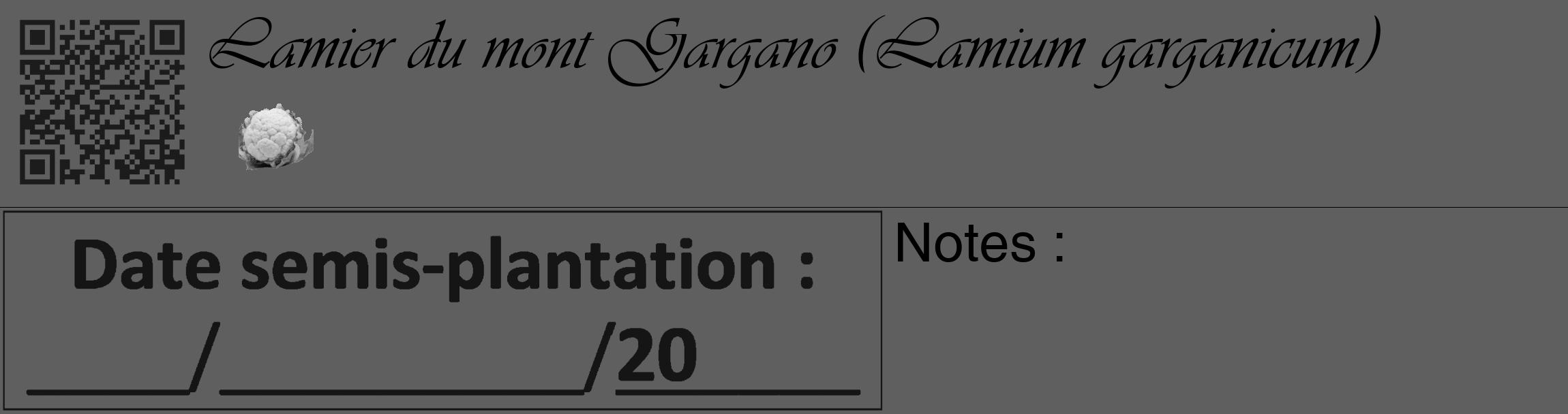 Étiquette de : Lamium garganicum - format c - style noire10_basique_basiqueviv avec qrcode et comestibilité simplifiée