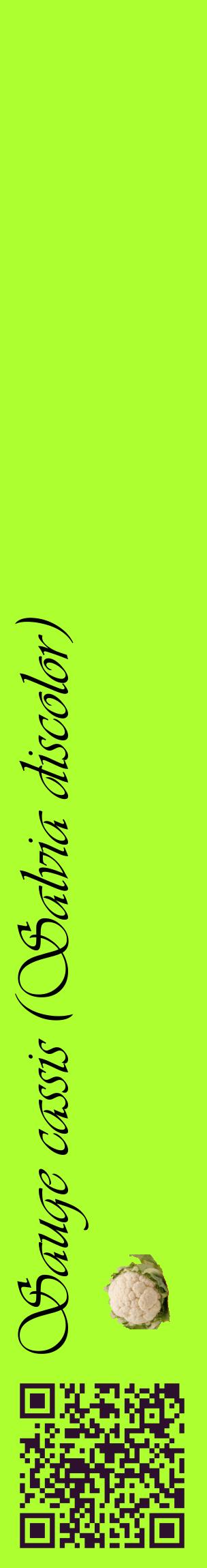 Étiquette de : Salvia discolor - format c - style noire17_basiqueviv avec qrcode et comestibilité simplifiée