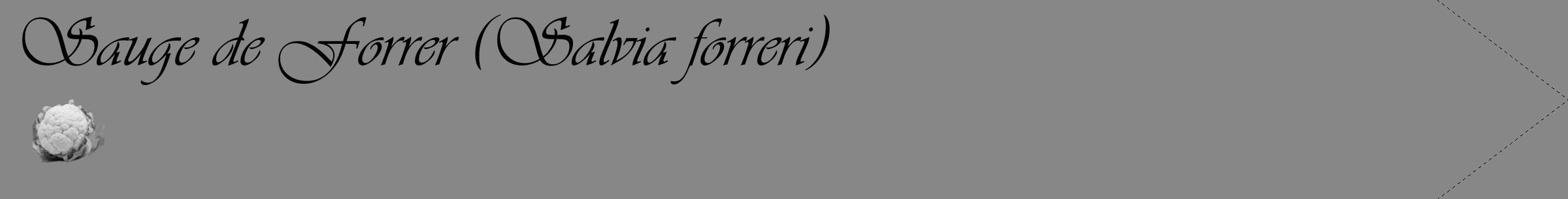 Étiquette de : Salvia forreri - format c - style noire12_simple_simpleviv avec comestibilité simplifiée