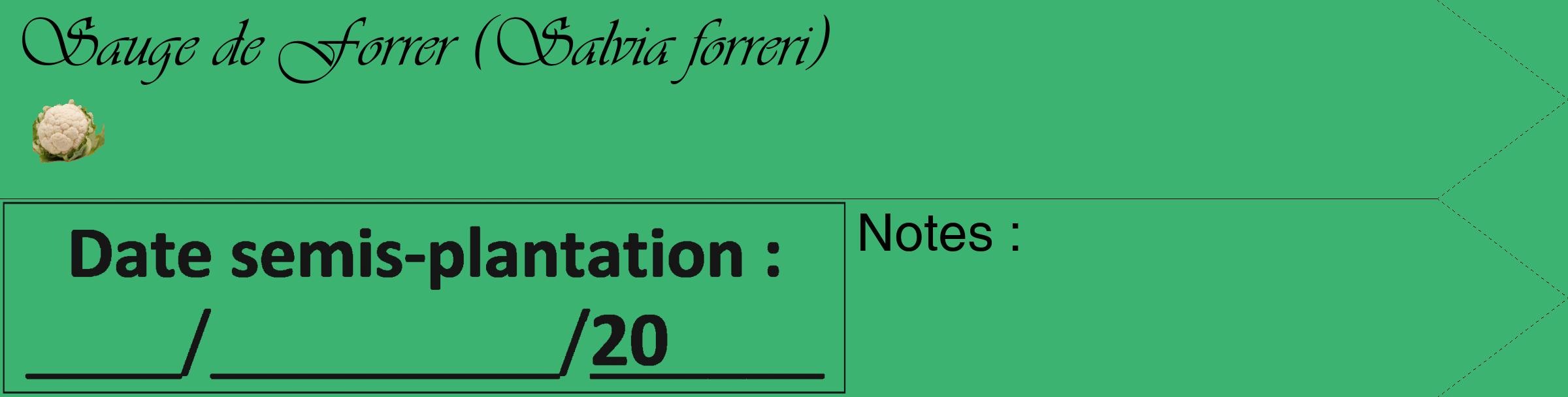 Étiquette de : Salvia forreri - format c - style noire12_simple_simpleviv avec comestibilité simplifiée