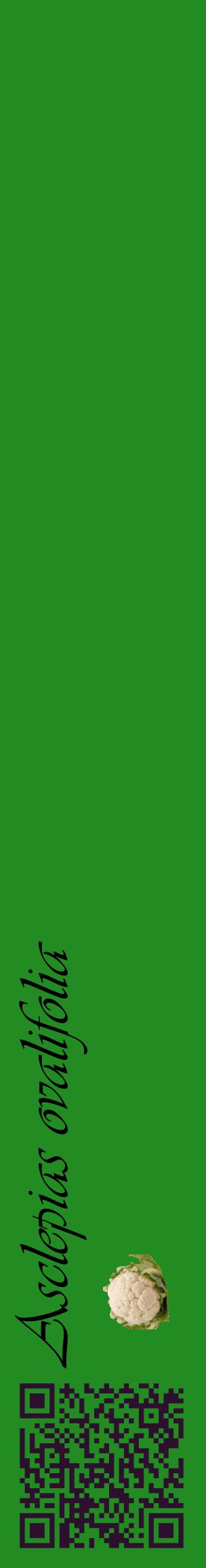 Étiquette de : Asclepias ovalifolia - format c - style noire10_basiqueviv avec qrcode et comestibilité simplifiée