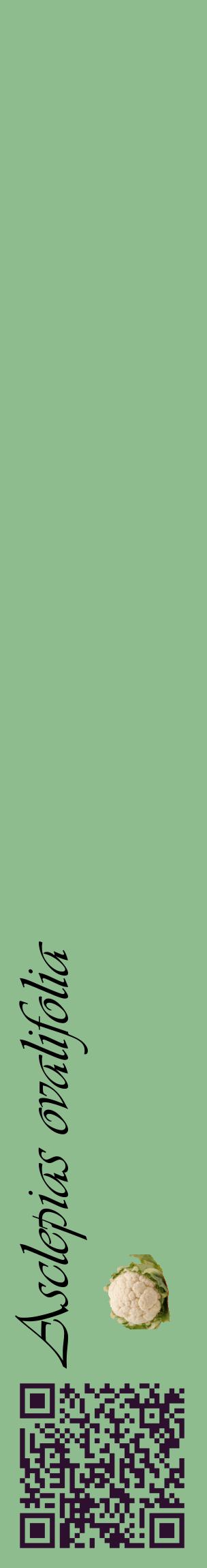 Étiquette de : Asclepias ovalifolia - format c - style noire13_basiqueviv avec qrcode et comestibilité simplifiée