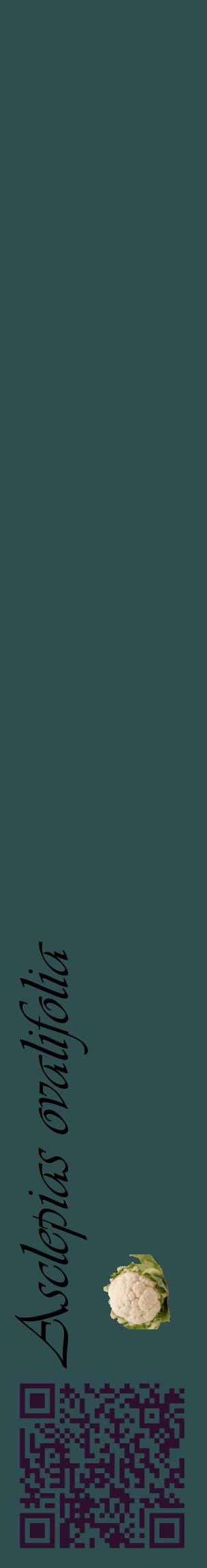 Étiquette de : Asclepias ovalifolia - format c - style noire58_basiqueviv avec qrcode et comestibilité simplifiée