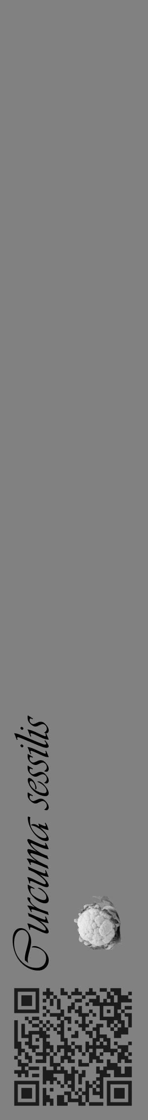 Étiquette de : Curcuma sessilis - format c - style noire50_basique_basiqueviv avec qrcode et comestibilité simplifiée - position verticale