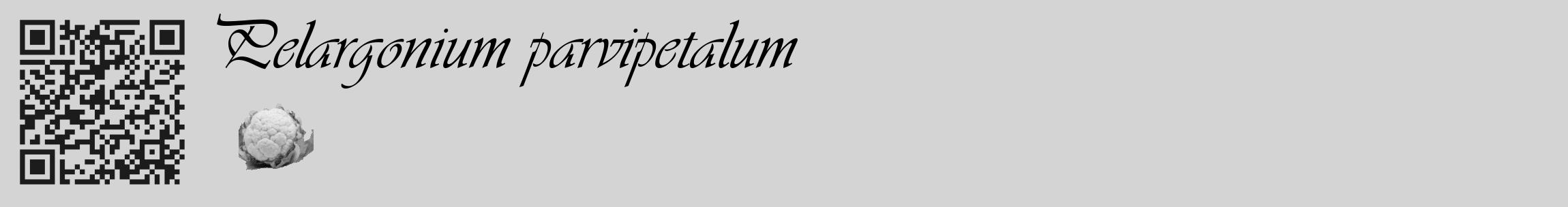 Étiquette de : Pelargonium parvipetalum - format c - style noire40_basique_basiqueviv avec qrcode et comestibilité simplifiée