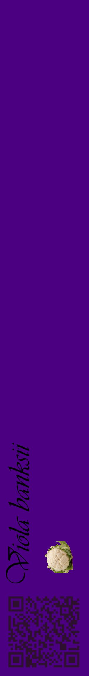 Étiquette de : Viola banksii - format c - style noire47_basiqueviv avec qrcode et comestibilité simplifiée