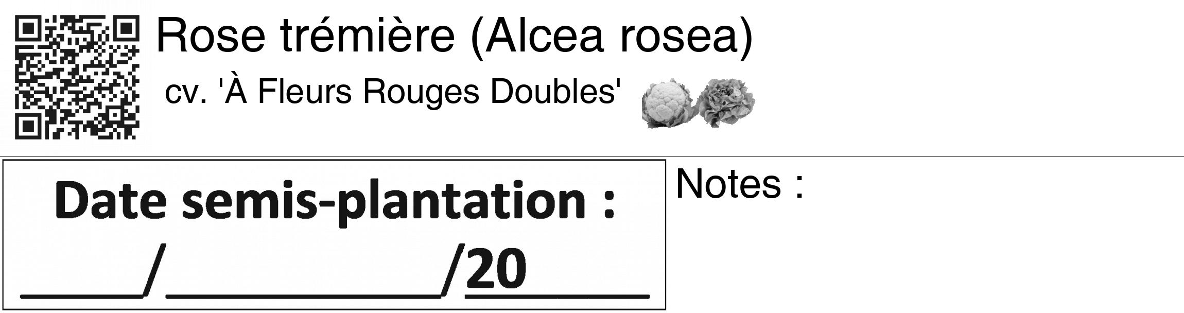 Étiquette de : Alcea rosea cv. 'À Fleurs Rouges Doubles' - format c - style noire60_basiquegrrvhel avec qrcode et comestibilité simplifiée