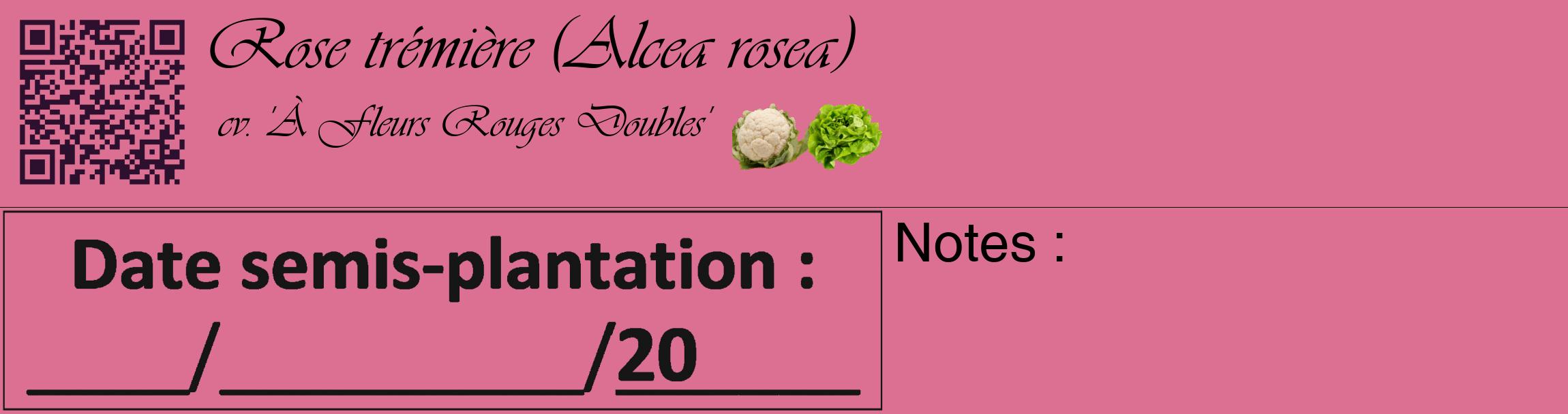 Étiquette de : Alcea rosea cv. 'À Fleurs Rouges Doubles' - format c - style noire44_basique_basiqueviv avec qrcode et comestibilité simplifiée