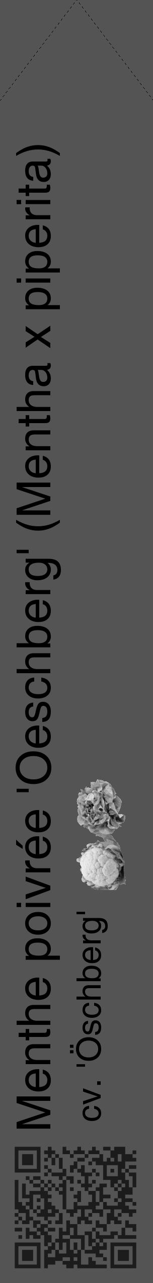 Étiquette de : Mentha x piperita cv. 'Öschberg' - format c - style noire36_simple_simplehel avec qrcode et comestibilité simplifiée - position verticale