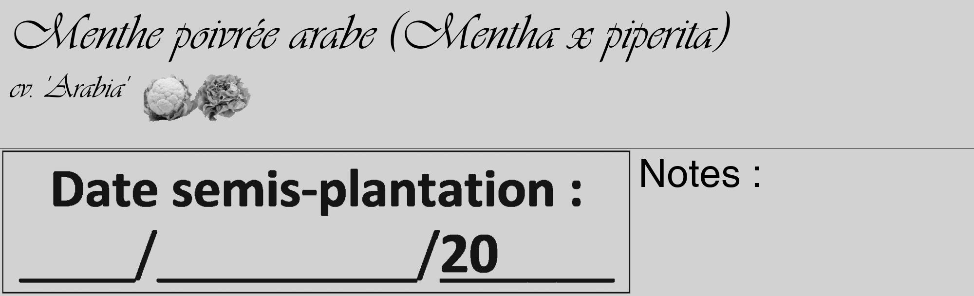Étiquette de : Mentha x piperita cv. 'Arabia' - format c - style noire14_basique_basiqueviv avec comestibilité simplifiée