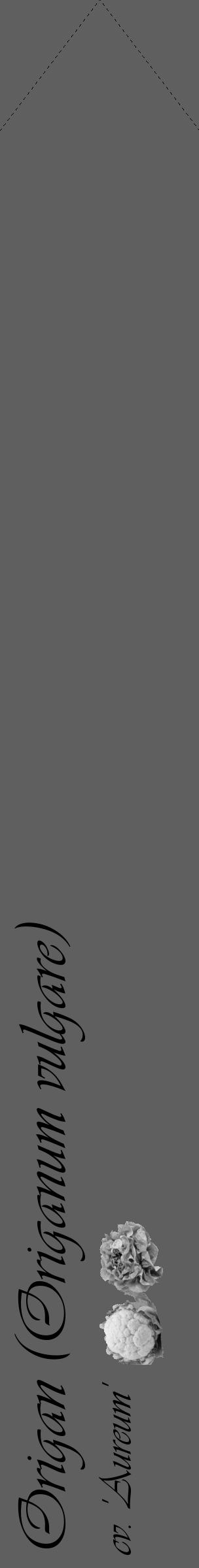 Étiquette de : Origanum vulgare cv. 'Aureum' - format c - style noire10_simple_simpleviv avec comestibilité simplifiée - position verticale
