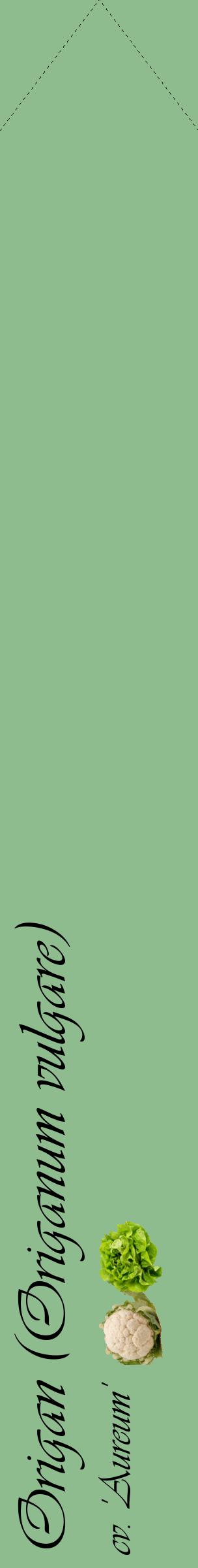 Étiquette de : Origanum vulgare cv. 'Aureum' - format c - style noire13_simpleviv avec comestibilité simplifiée