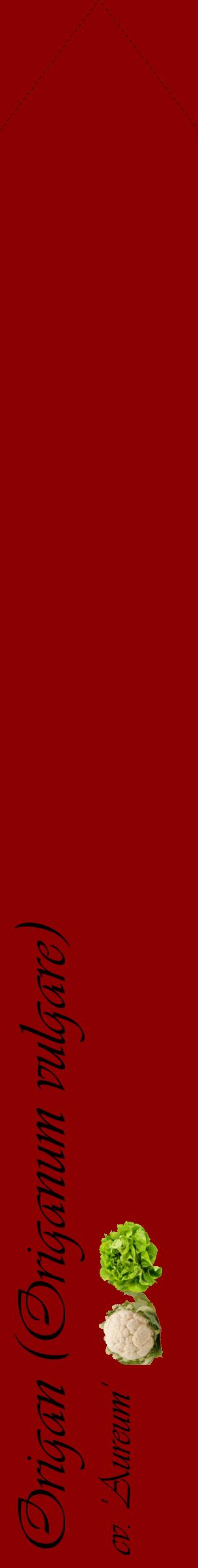 Étiquette de : Origanum vulgare cv. 'Aureum' - format c - style noire34_simpleviv avec comestibilité simplifiée
