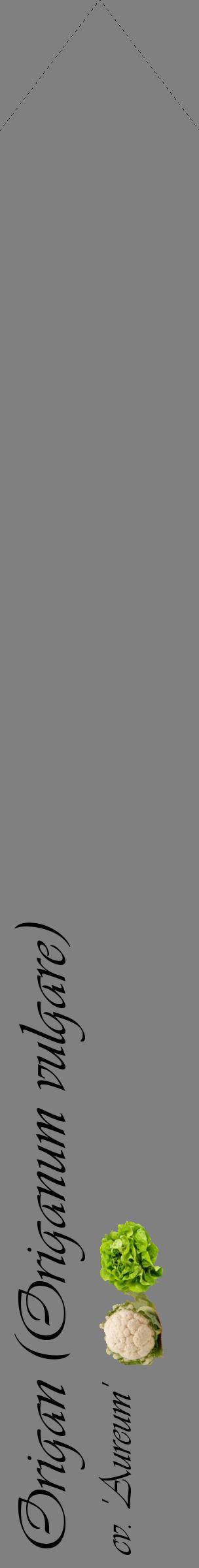 Étiquette de : Origanum vulgare cv. 'Aureum' - format c - style noire57_simpleviv avec comestibilité simplifiée