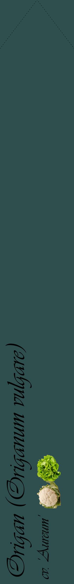 Étiquette de : Origanum vulgare cv. 'Aureum' - format c - style noire58_simpleviv avec comestibilité simplifiée