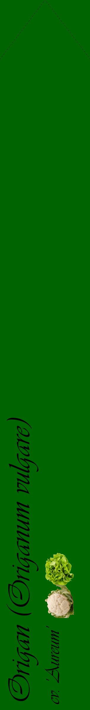Étiquette de : Origanum vulgare cv. 'Aureum' - format c - style noire8_simpleviv avec comestibilité simplifiée