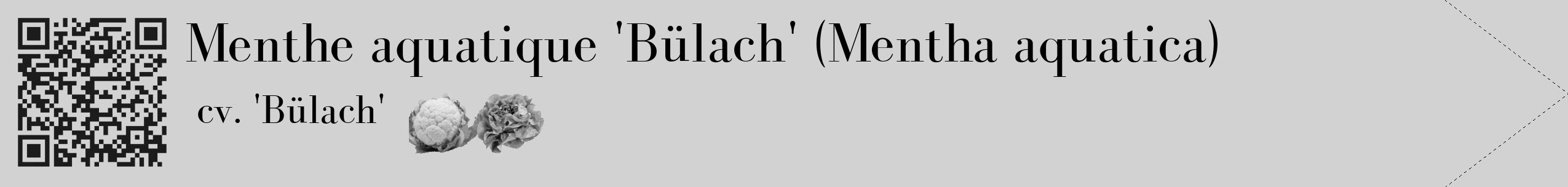 Étiquette de : Mentha aquatica cv. 'Bülach' - format c - style noire14_simple_simplebod avec qrcode et comestibilité simplifiée
