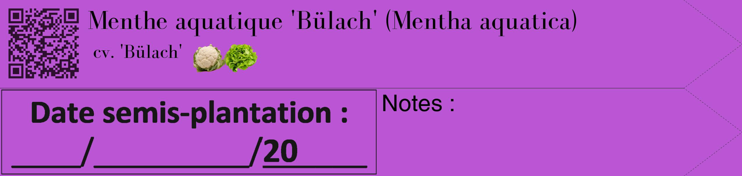 Étiquette de : Mentha aquatica cv. 'Bülach' - format c - style noire50_simple_simplebod avec qrcode et comestibilité simplifiée