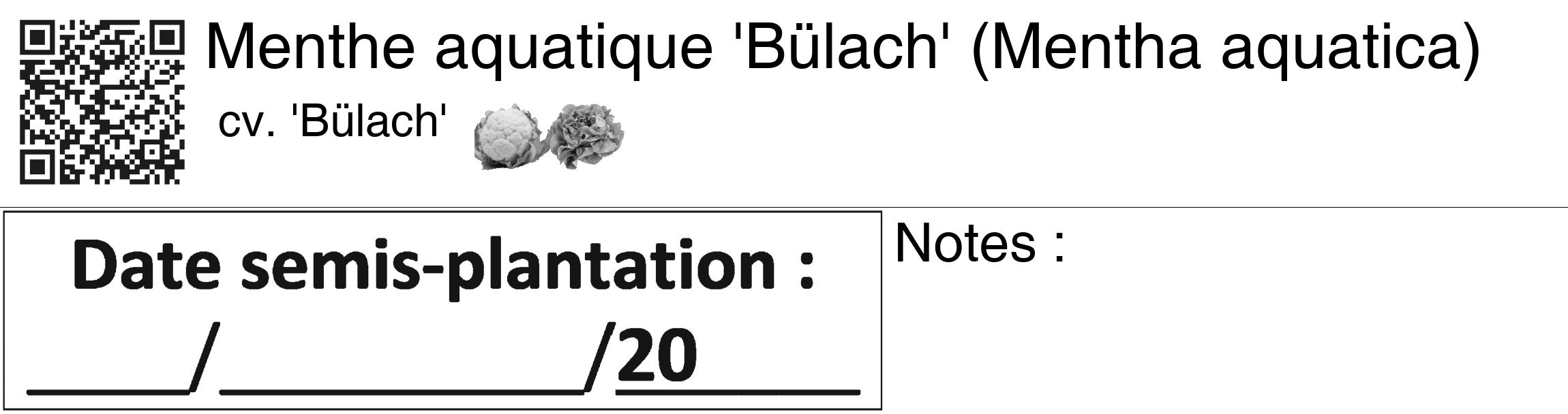 Étiquette de : Mentha aquatica cv. 'Bülach' - format c - style noire60_basique_basiquehel avec qrcode et comestibilité simplifiée