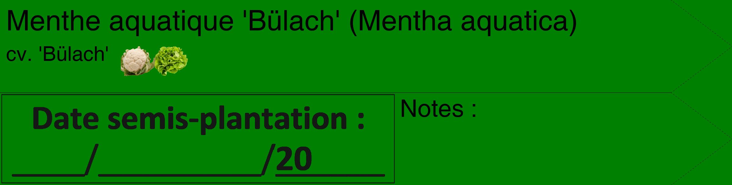 Étiquette de : Mentha aquatica cv. 'Bülach' - format c - style noire9_simple_simplehel avec comestibilité simplifiée