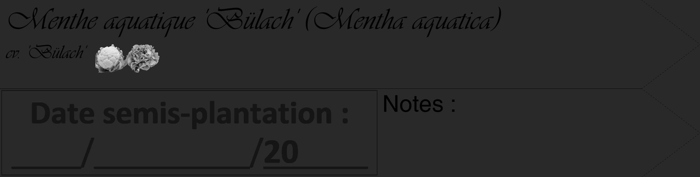 Étiquette de : Mentha aquatica cv. 'Bülach' - format c - style noire34_simple_simpleviv avec comestibilité simplifiée
