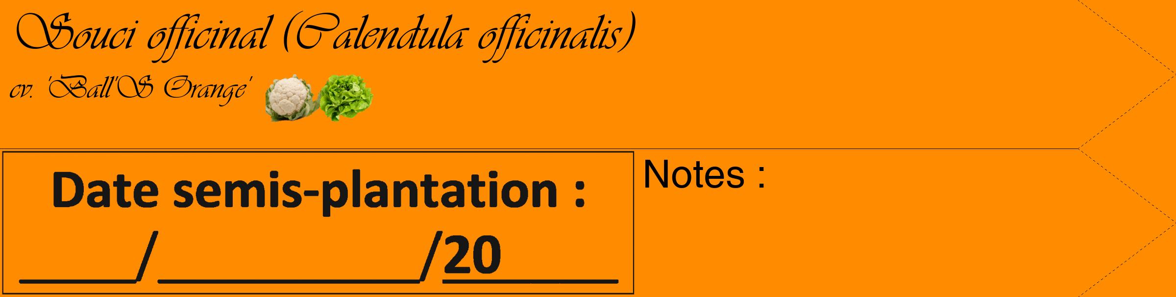 Étiquette de : Calendula officinalis cv. 'Ball'S Orange' - format c - style noire23_simple_simpleviv avec comestibilité simplifiée