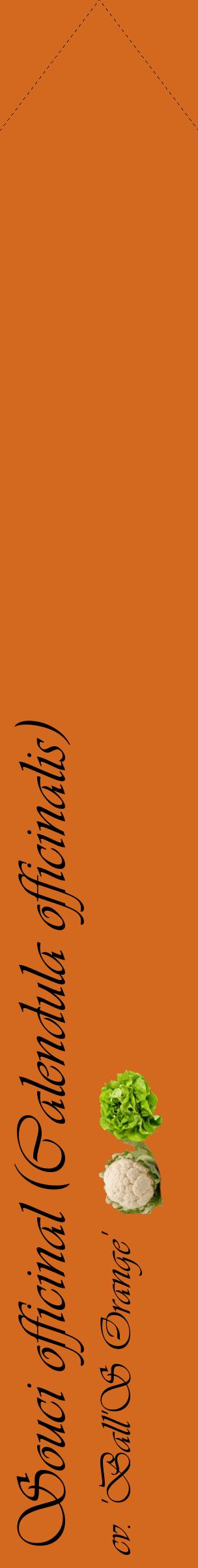 Étiquette de : Calendula officinalis cv. 'Ball'S Orange' - format c - style noire31_simpleviv avec comestibilité simplifiée