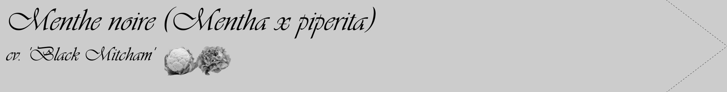 Étiquette de : Mentha x piperita cv. 'Black Mitcham' - format c - style noire0_simple_simpleviv avec comestibilité simplifiée