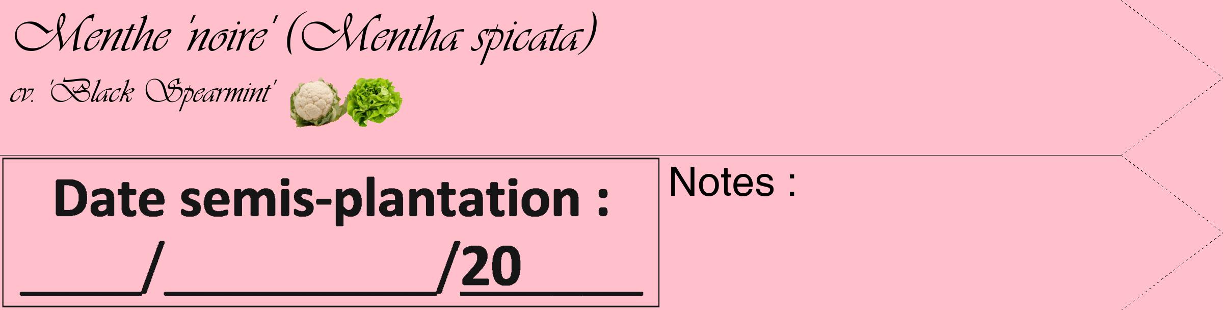 Étiquette de : Mentha spicata cv. 'Black Spearmint' - format c - style noire40_simple_simpleviv avec comestibilité simplifiée