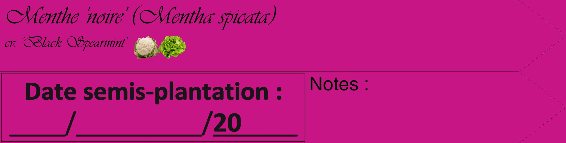 Étiquette de : Mentha spicata cv. 'Black Spearmint' - format c - style noire45_simple_simpleviv avec comestibilité simplifiée