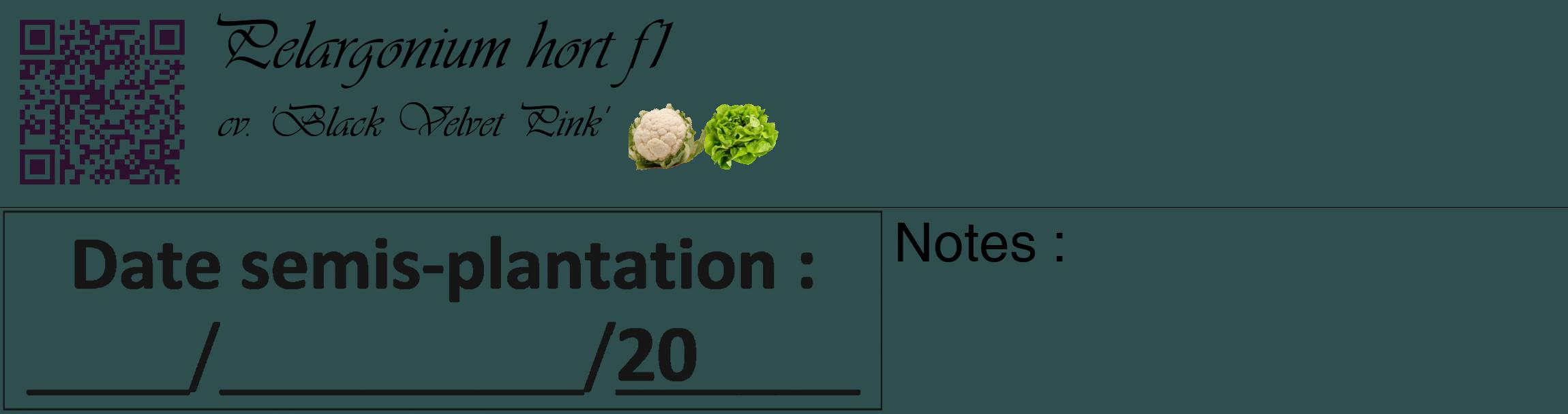Étiquette de : Pelargonium hort f1 cv. 'Black Velvet Pink' - format c - style noire58basique_basique_basiqueviv avec qrcode et comestibilité simplifiée