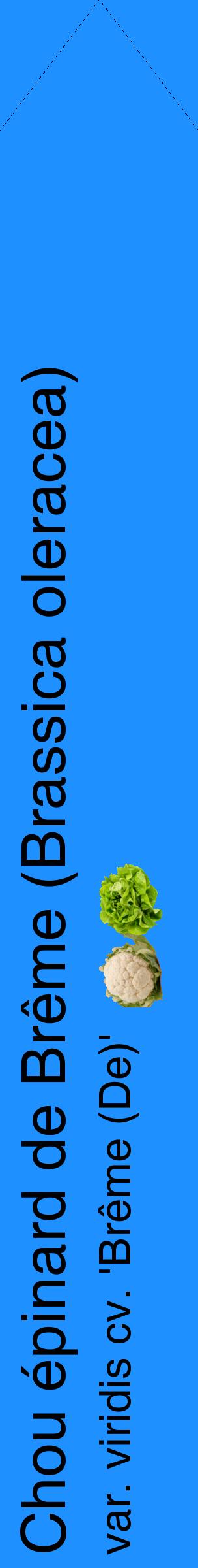 Étiquette de : Brassica oleracea var. viridis cv. 'Brême (De)' - format c - style noire3_simplehel avec comestibilité simplifiée