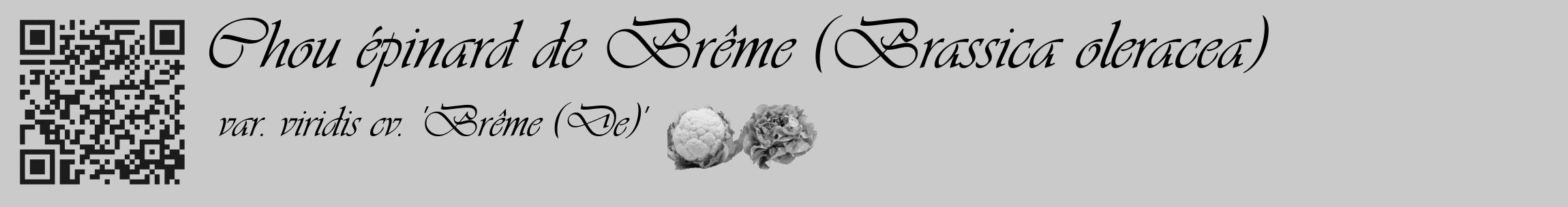 Étiquette de : Brassica oleracea var. viridis cv. 'Brême (De)' - format c - style noire21_basique_basiqueviv avec qrcode et comestibilité simplifiée