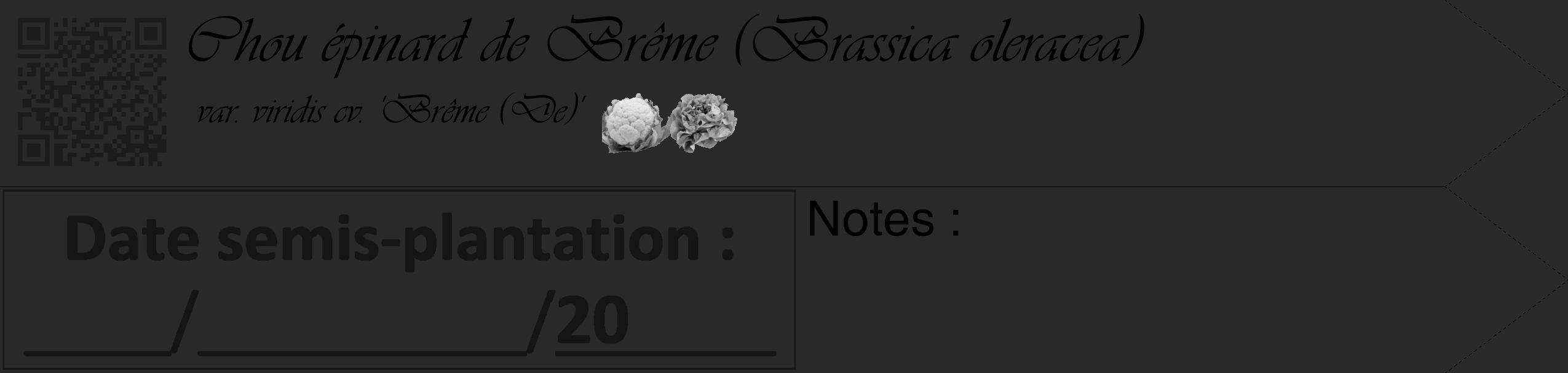 Étiquette de : Brassica oleracea var. viridis cv. 'Brême (De)' - format c - style noire34_simple_simpleviv avec qrcode et comestibilité simplifiée